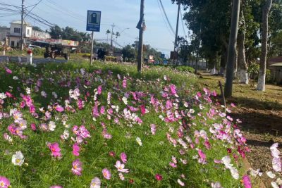 TUỔI TRẺ TRƯỜNG THPTVIỆT ĐỨC RA QUÂN THỰC HIỆN CÔNG TRÌNH “VƯỜN HOA THANH NIÊN” CHÀO MỪNG ĐẠI HỘI ĐẢNG CÁC CẤP